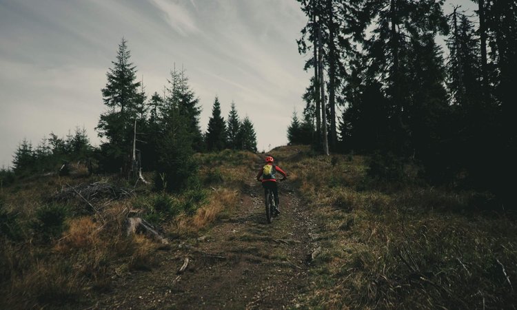 A-Slow-Cyclist-riding-on-a-trail-in-Bucovina-on-the-Via-Transilvanica