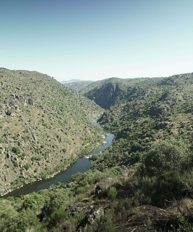 Overlooking-the-Coa-river-Portugal-where-Slow-Cyclists-visit