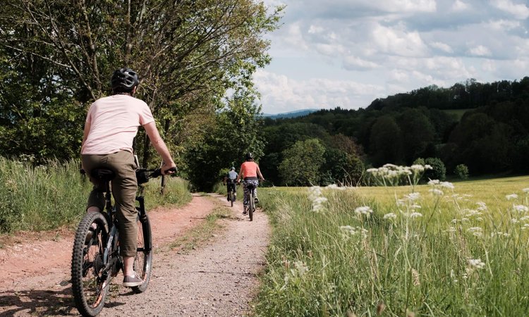 Riding-through-meadows-in-Lower-Silesia-Poland-on-a-Slow-Cyclist-journey