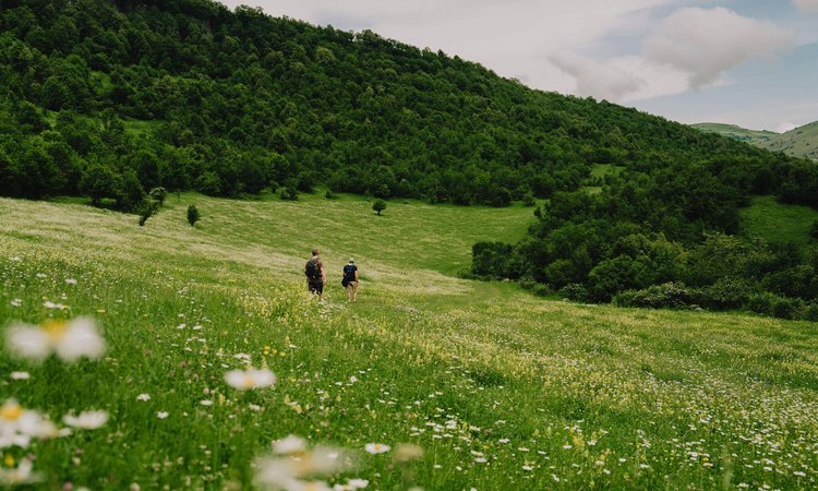 Slow-Cyclists-walking-in-wildflower-meadows-Armenia