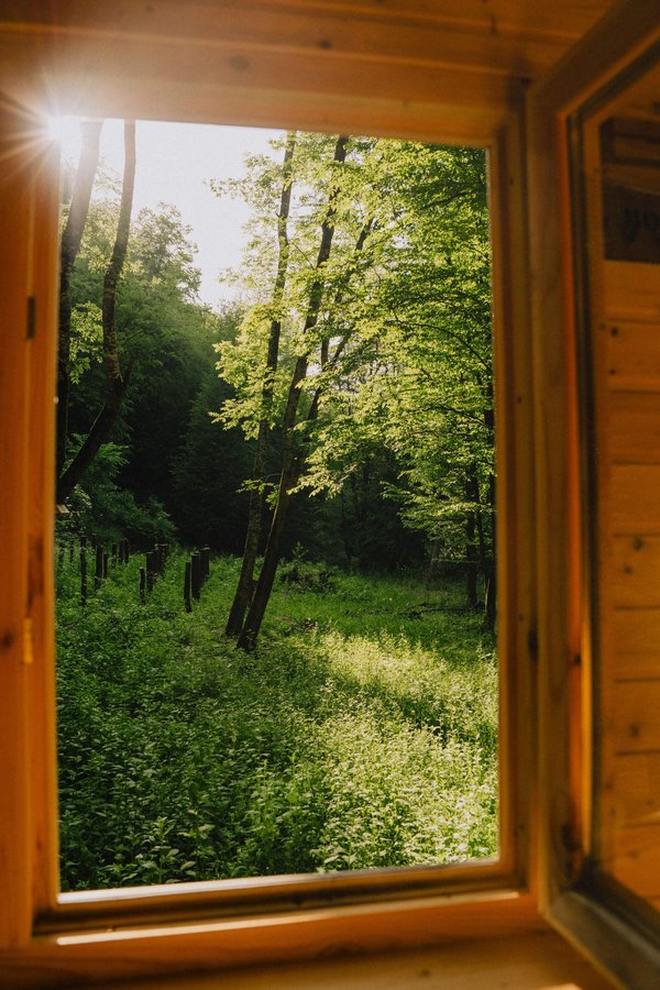 View-from-Slow-Cyclist-cabin-in-woods-Armenia